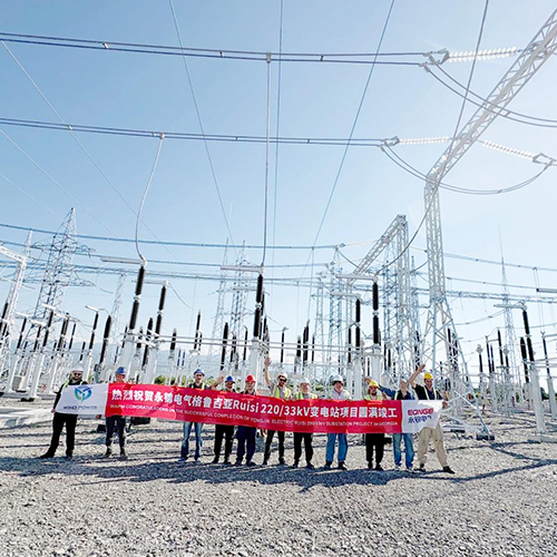 Proyecto EPC de la subestación Ruisi de 220/33 kV, Georgia